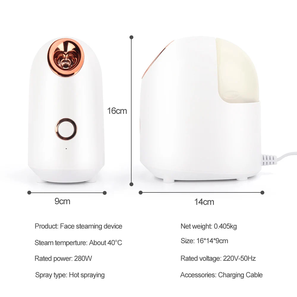 Nano Ionic Facial Steamer